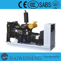 Preis Leistung 20kW Diesel Generators von Weifang(China generator)